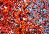 Indy: Palou dominerede i Alabama
